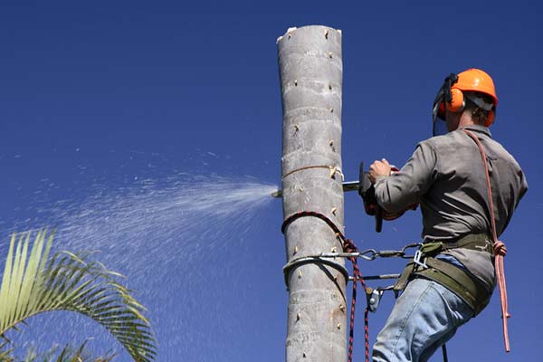 entreprise de jardinage